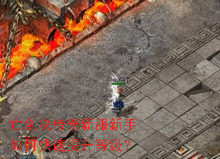 �����������·�������ο��������ȼ���