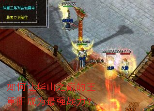 ����û�ɽ֮�۵���������Ϊ��ǿս����