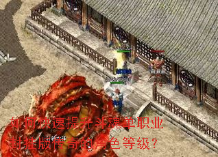 ��ο����������굥ְҵ��Ұ洫��Ľ�ɫ�ȼ���