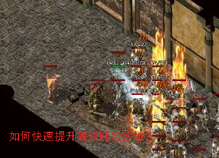 ��ο��������ȼ�߳��ɳ�ǣ�