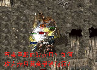 �ƽ�ʥ��Ѫս���£���ι��˳��»ƽ���ǿ�ؼ���