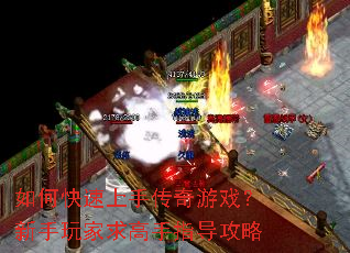 ��ο������ִ�����Ϸ��������������ָ������