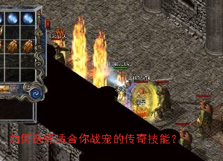 ���ѡ���ʺ���ս��Ĵ��漼�ܣ�