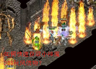 ��ο��ٻ�ȡС��ħ388������