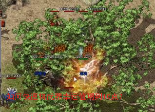 ��ο��ٽ���������ֵ�ȵ�10�㣿