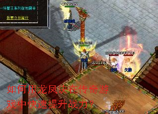 �����������ڴ�����Ϸ�п�������ս����