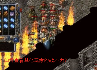 ��β鿴������ҵ�ս������