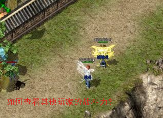 ��β鿴������ҵ�ս������