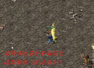 ��ο��������ڲ���֮ս��ְҵ�е�ս������