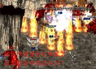 ��ο��������ڲ���֮ս��ְҵ�е�ս������