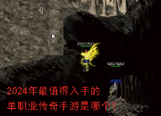 2024����ֵ�����ֵĵ�ְҵ�����������ĸ���